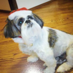 Meet your Posher, Kathy